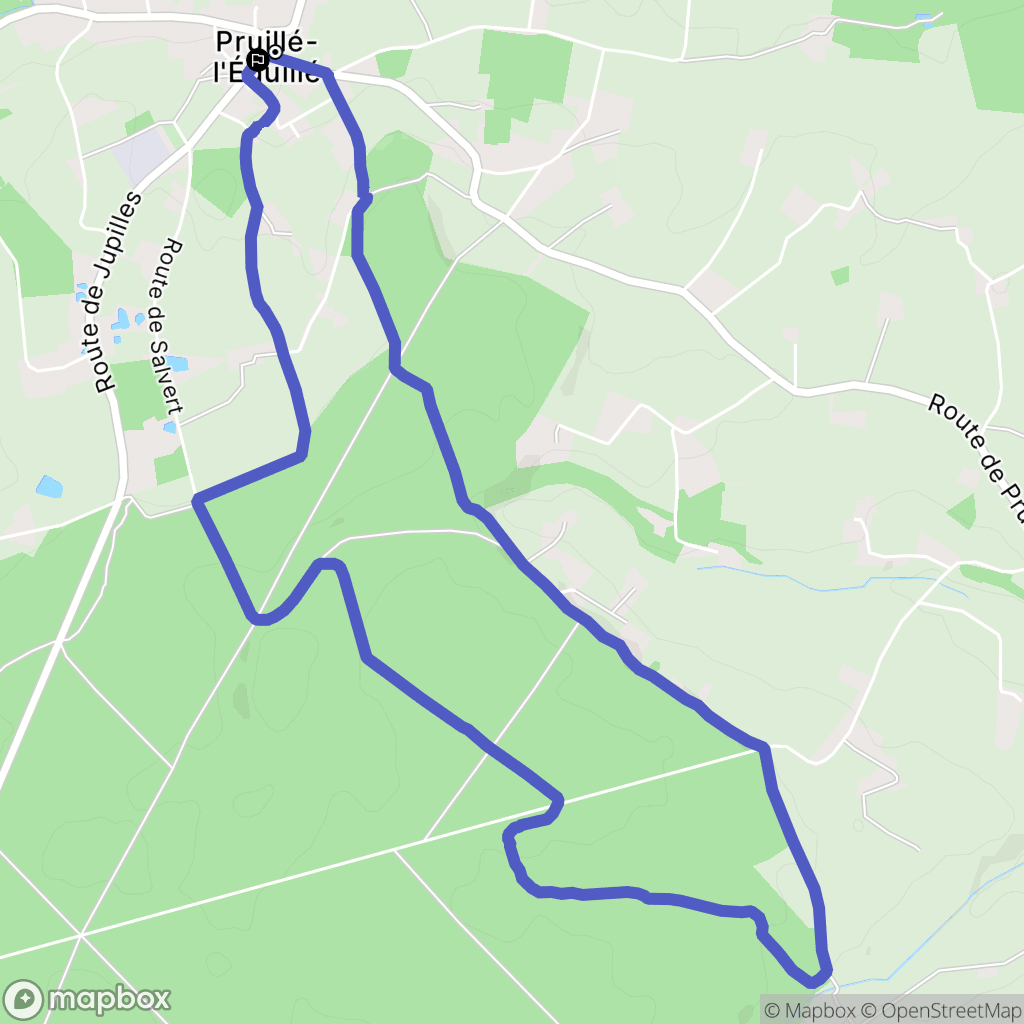 Pruillé-l'Éguillé : carte du parcours de randonnée - France