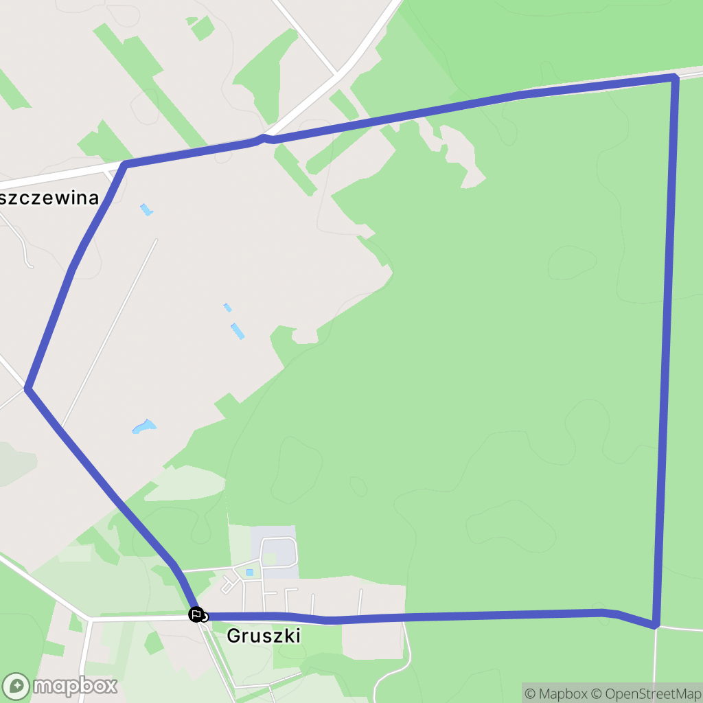 Guszczewina: mapa trasy - Poland
