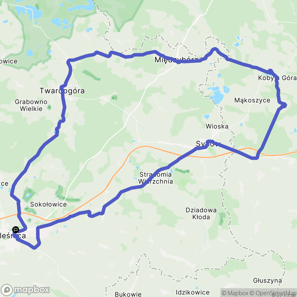Oleśnica: mapa trasy - Poland