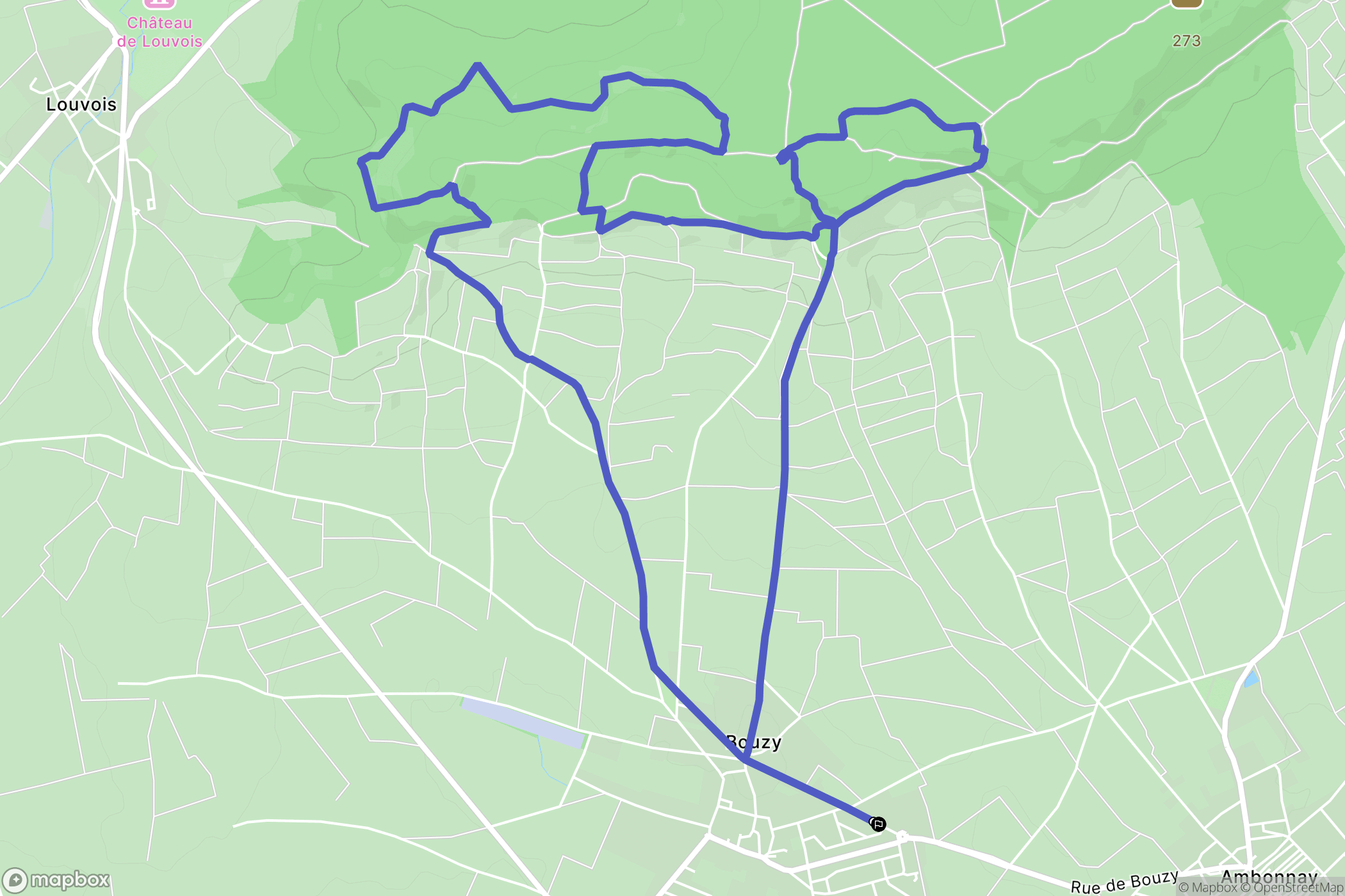 Bouzy : carte du parcours de randonnée - France