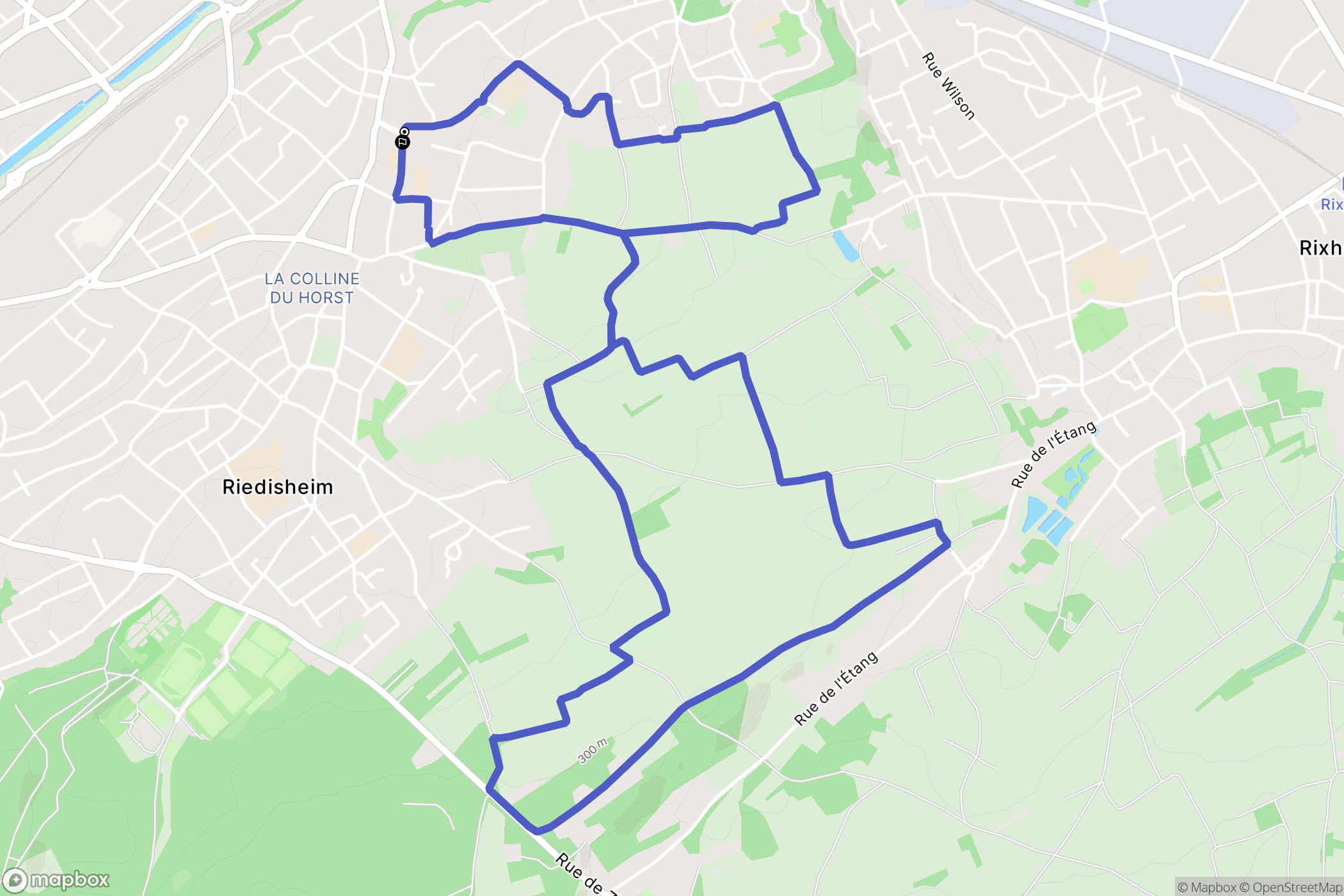 Riedisheim : carte du parcours de randonnée - France