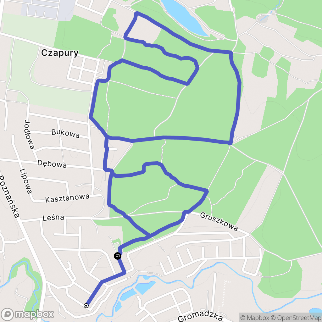 Czapury: mapa trasy - Poland