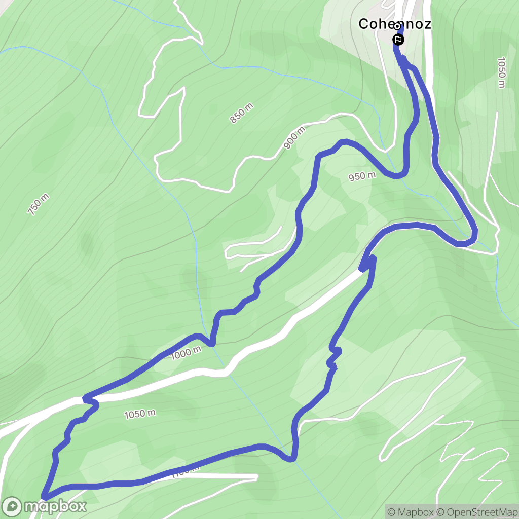 Cohennoz : carte du parcours de randonnée - France