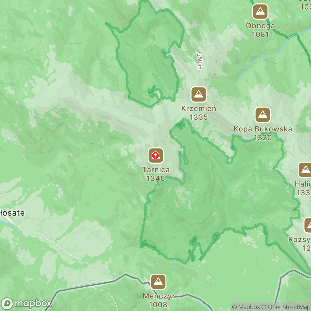 Mapa wyznaczonego obszaru tarnica-szlaki-piesze