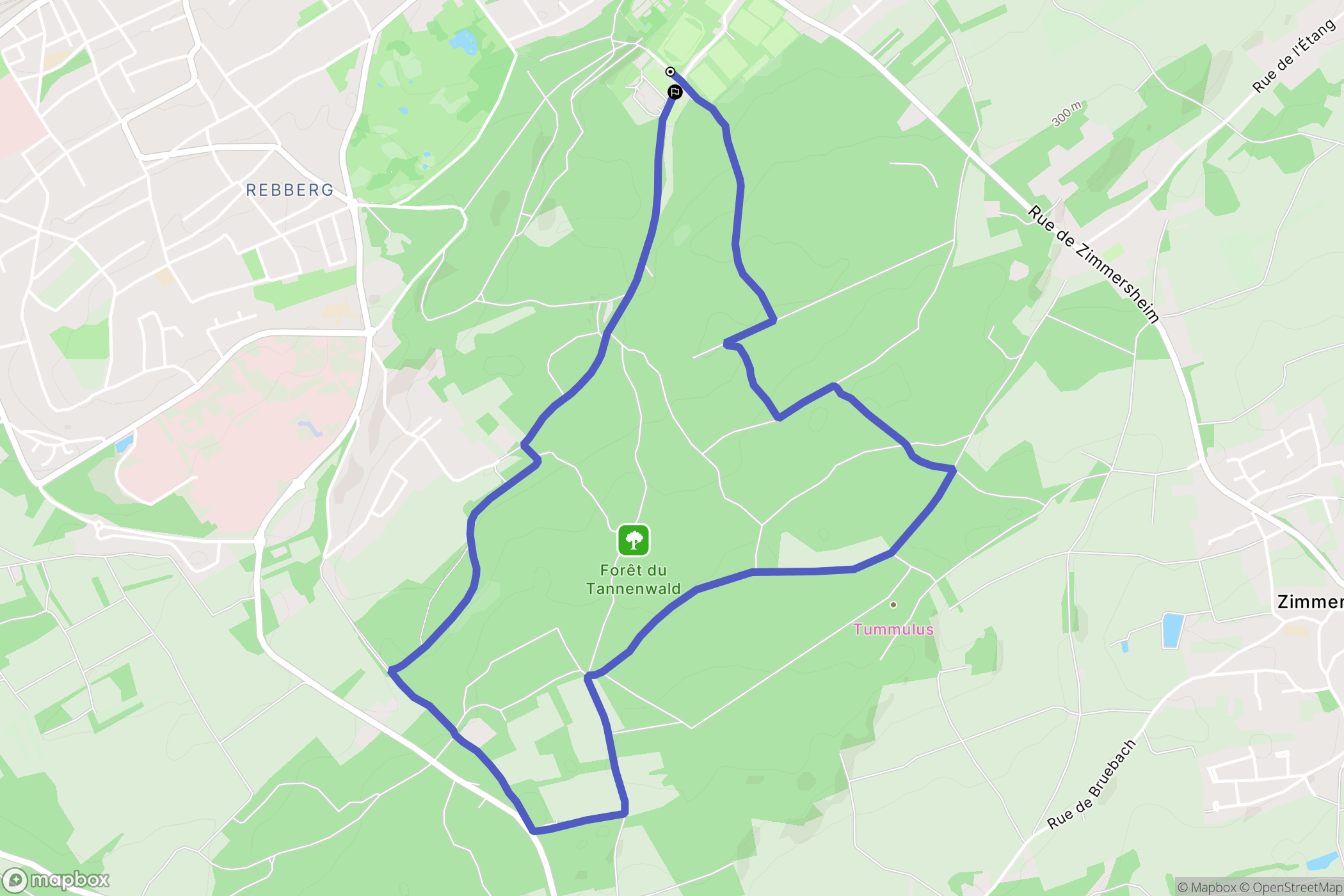 Riedisheim : carte du parcours de randonnée - France