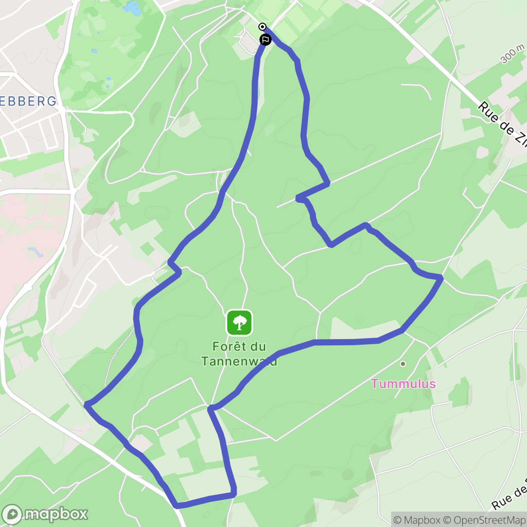 Riedisheim : carte du parcours de randonnée - France
