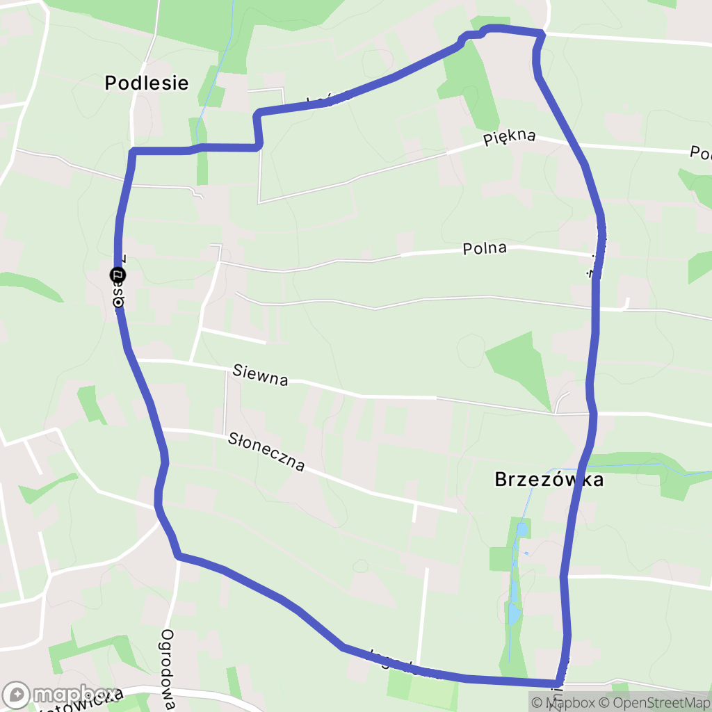 Brzezówka: mapa trasy - Poland