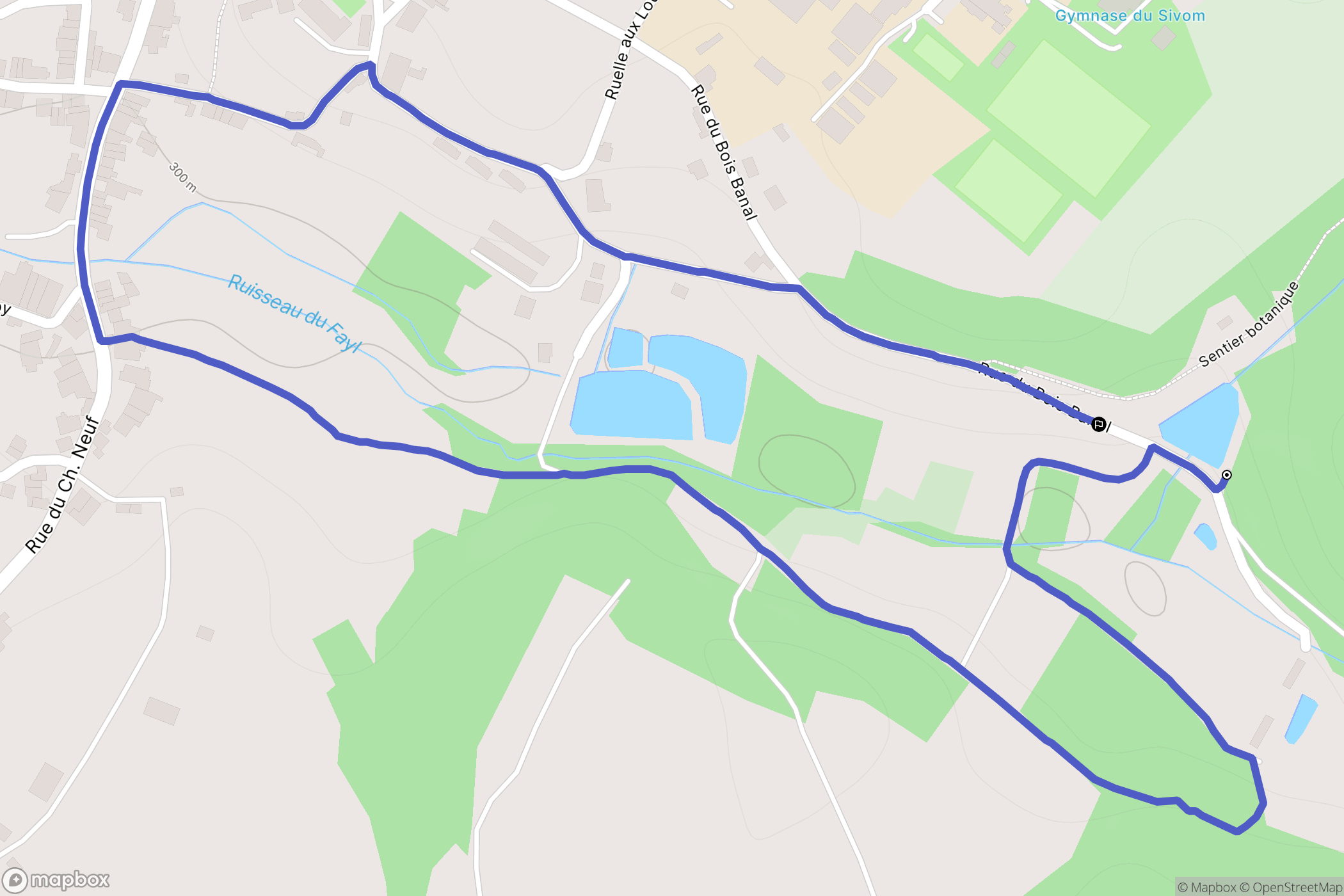 Fayl-Billot : carte du parcours de randonnée - France