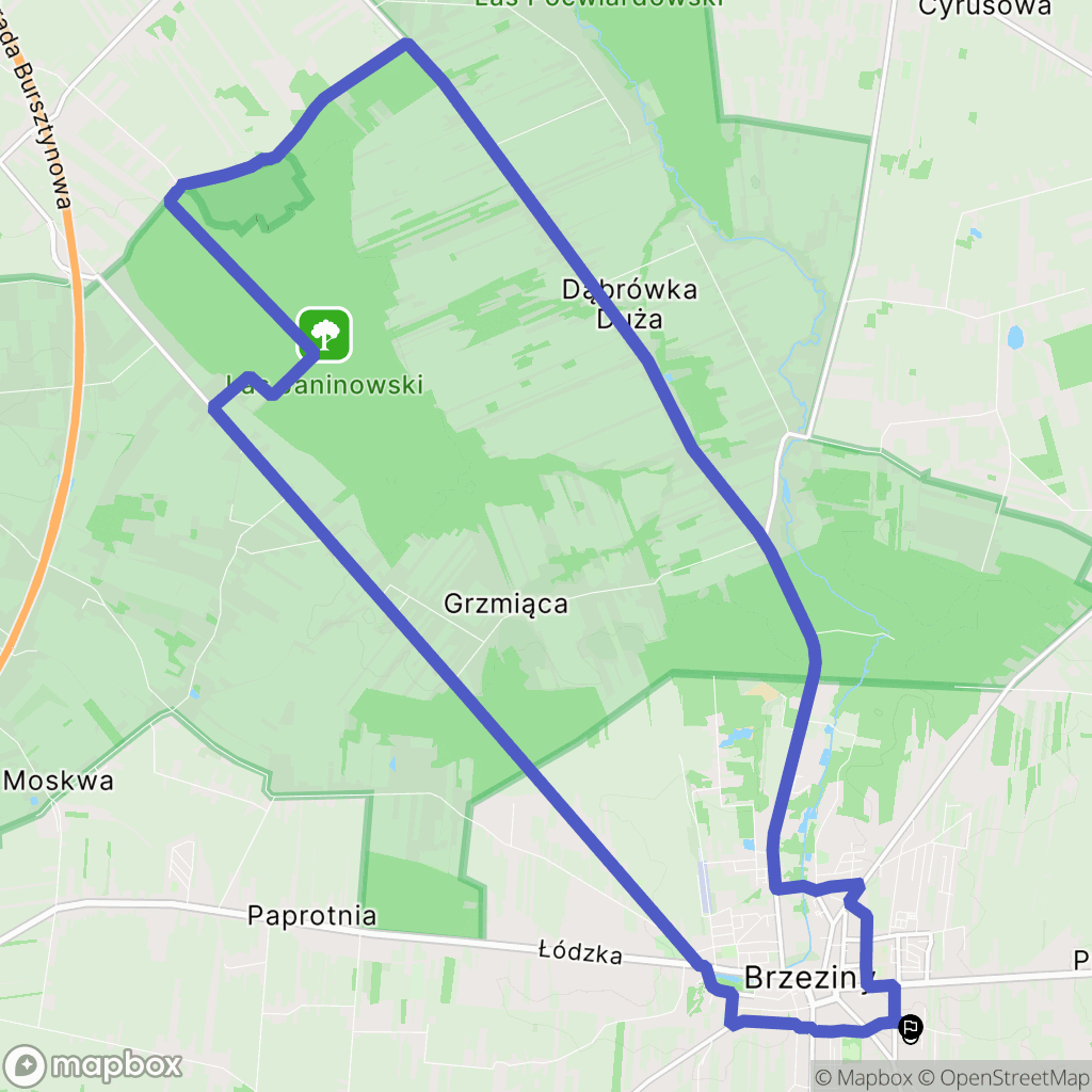 Brzeziny: mapa trasy - Poland