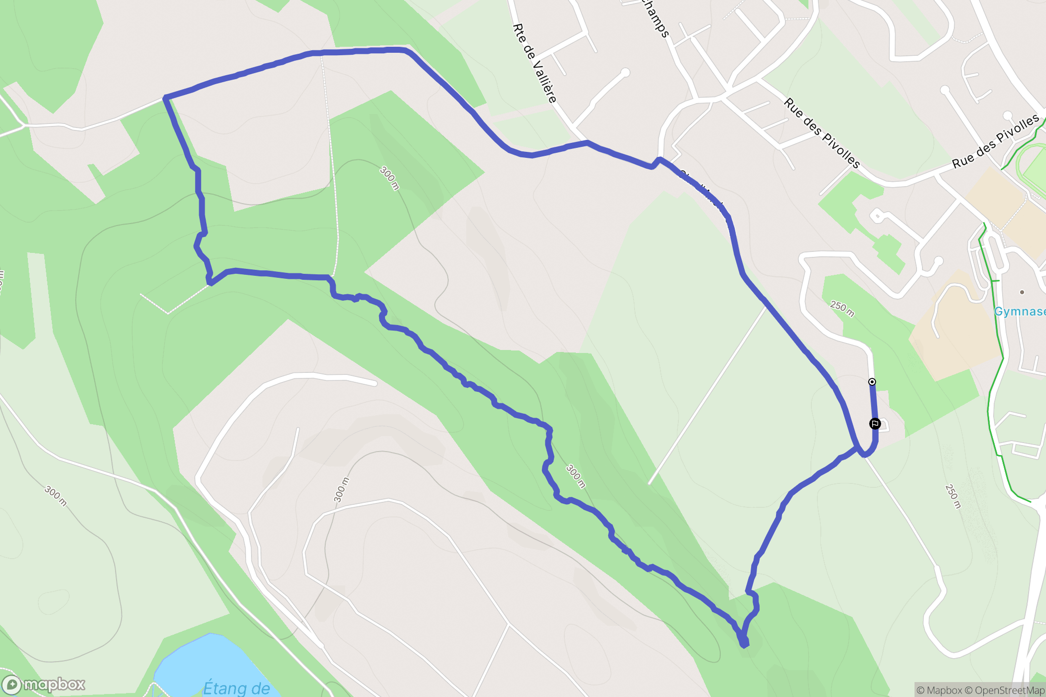 Montalieu-Vercieu : carte du parcours de randonnée - France
