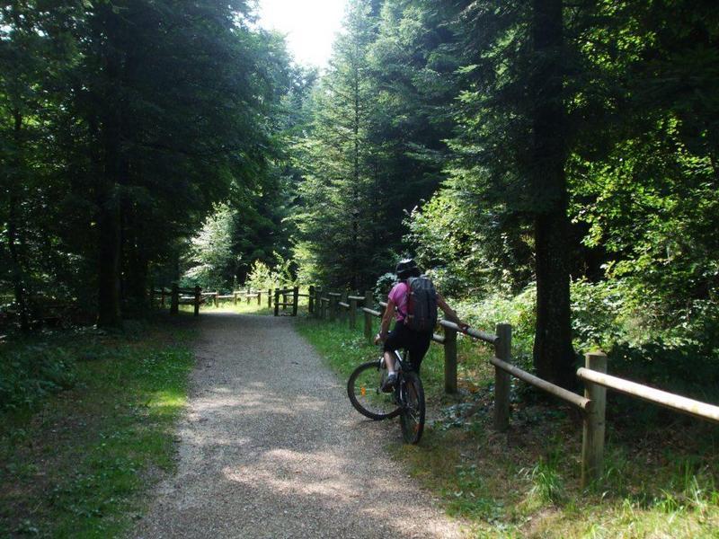 Sortie a VTT dans la montagne de Reims Decathlon Outdoor
