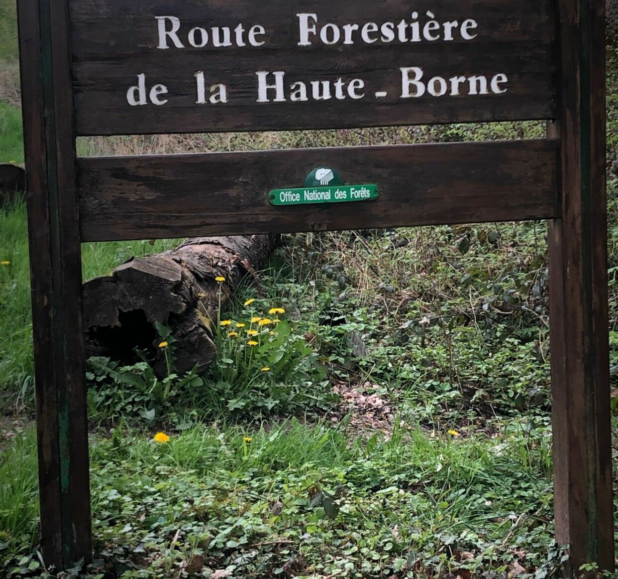 Vtt montagne de reims hotsell