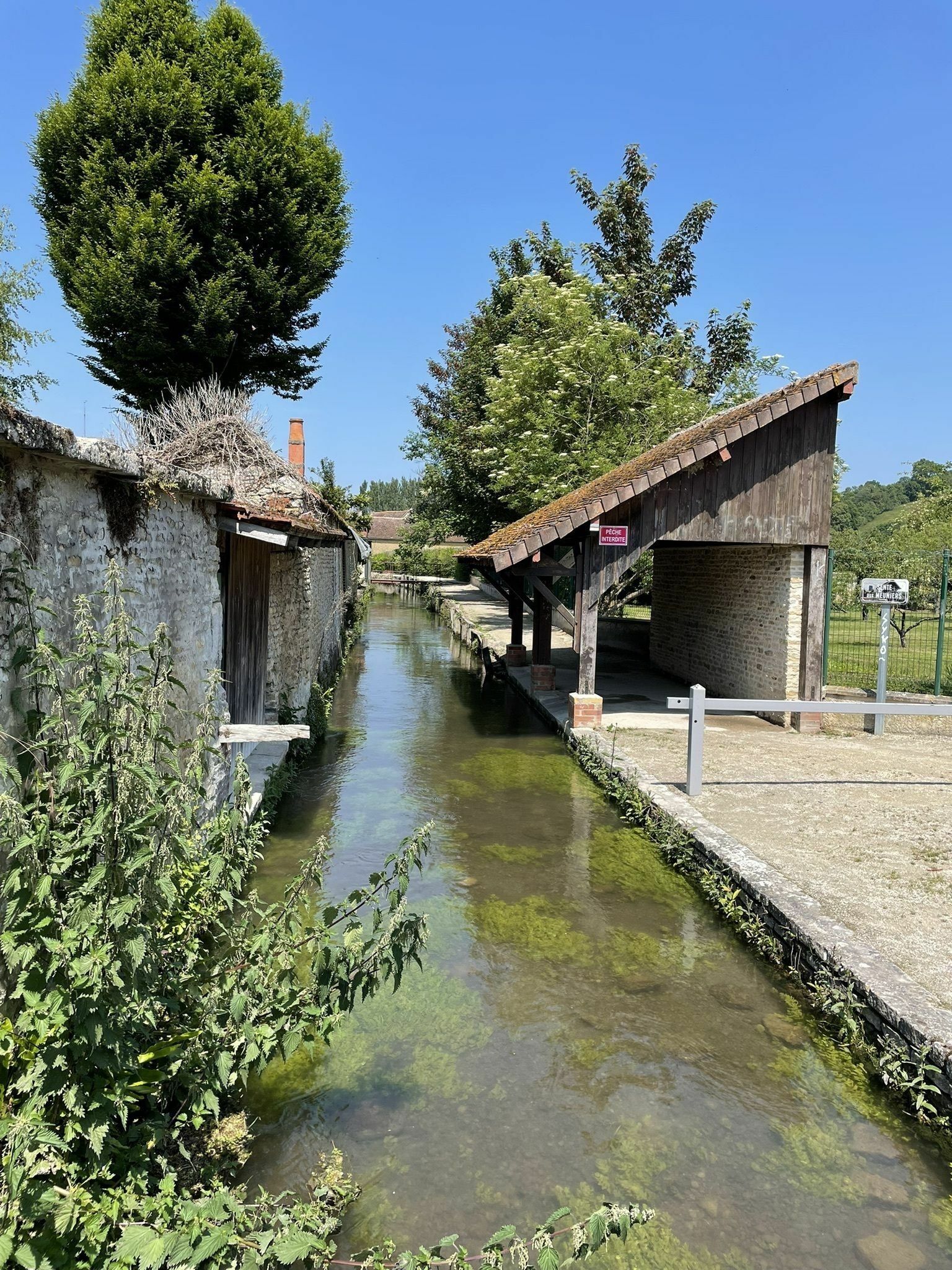 Velo vert de la muance cheap