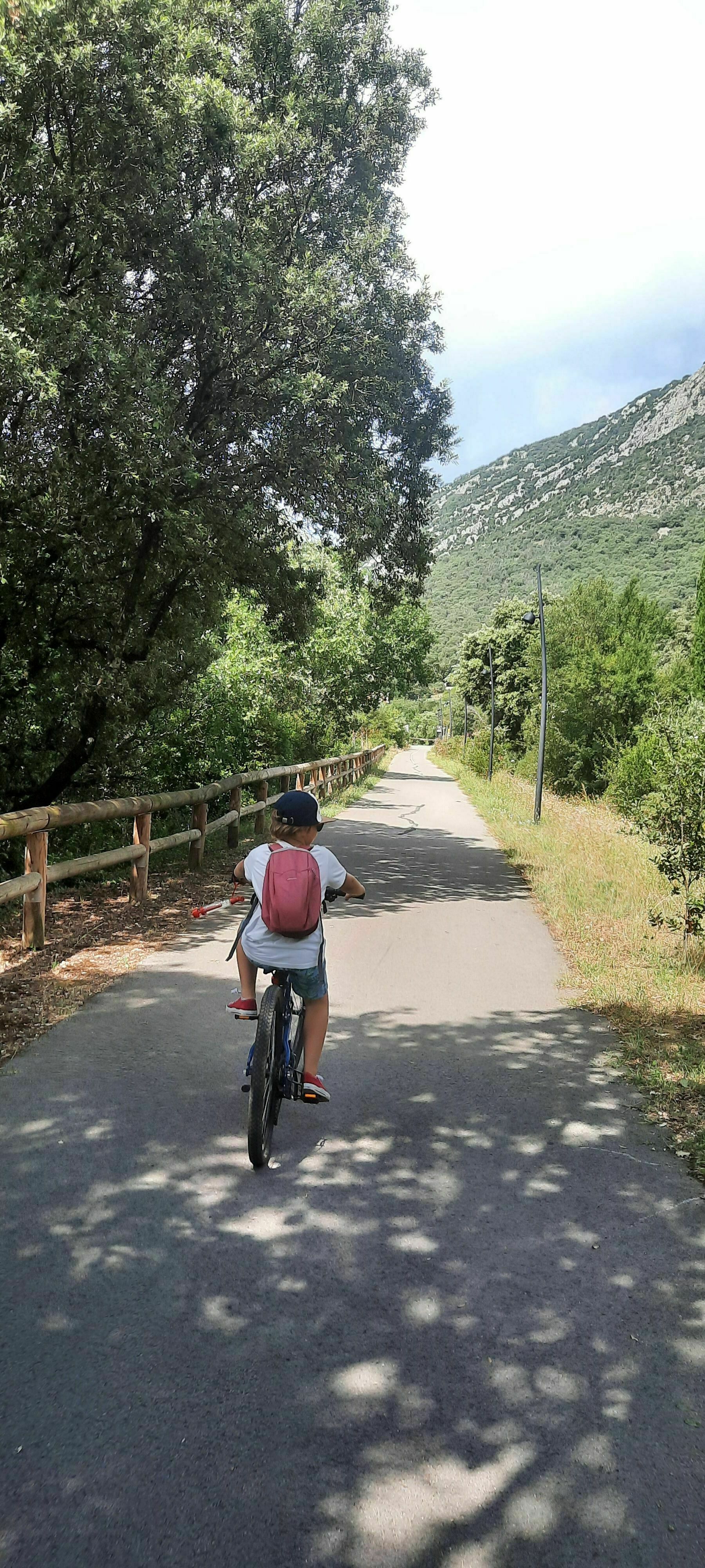 Gravir le mythique Mont Aigoual et ses cols a velo