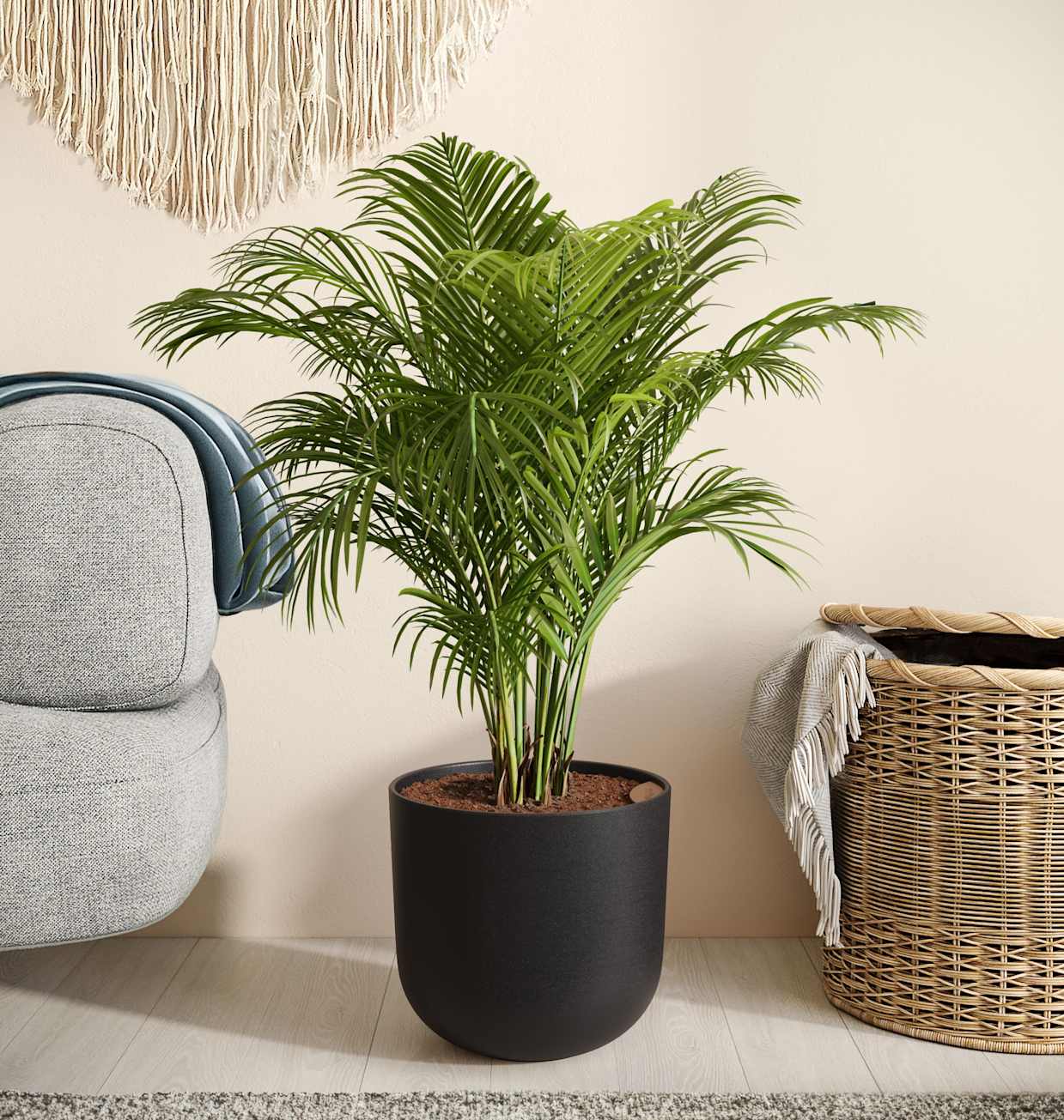 eureka palm plant Nearly Natural 6.5 ft. Areca Palm UV Resistant