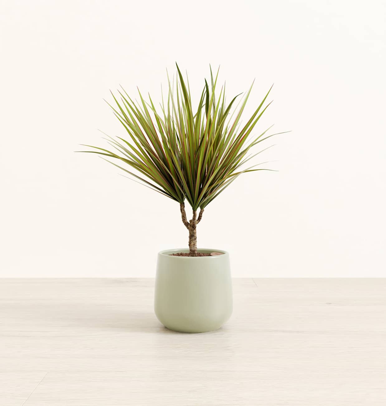 window indoor planter Lakeside Windowsill Herb Planter-Self Watering main image 0