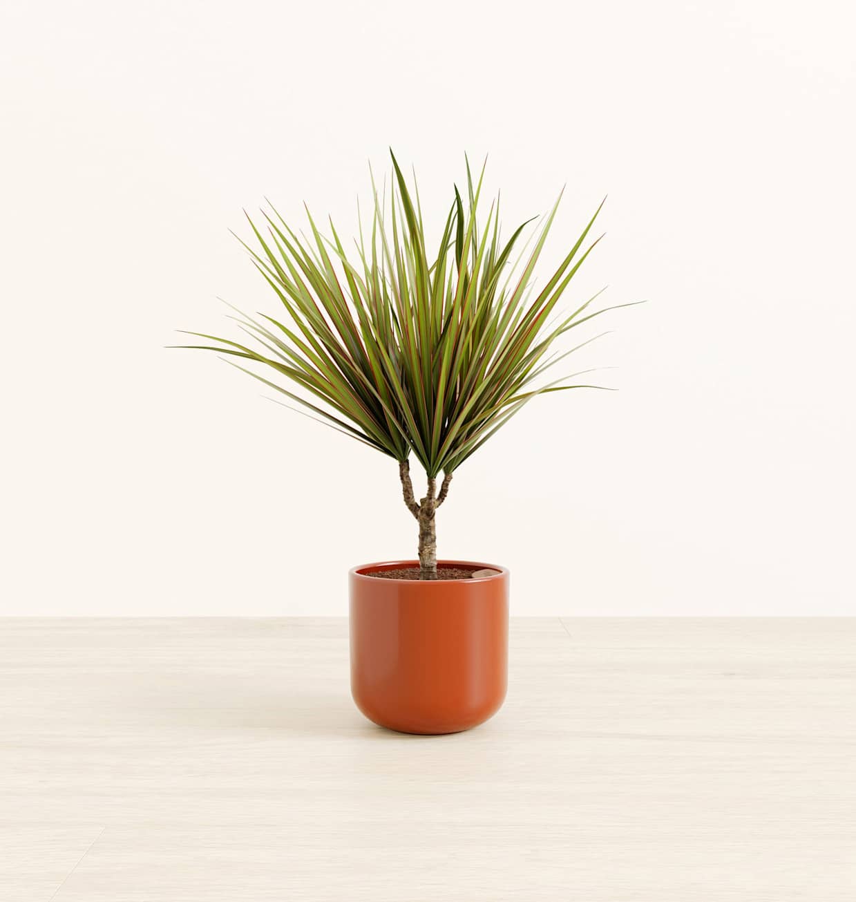 travelers palm plant Travelers Palm Artificial Tree main image 0