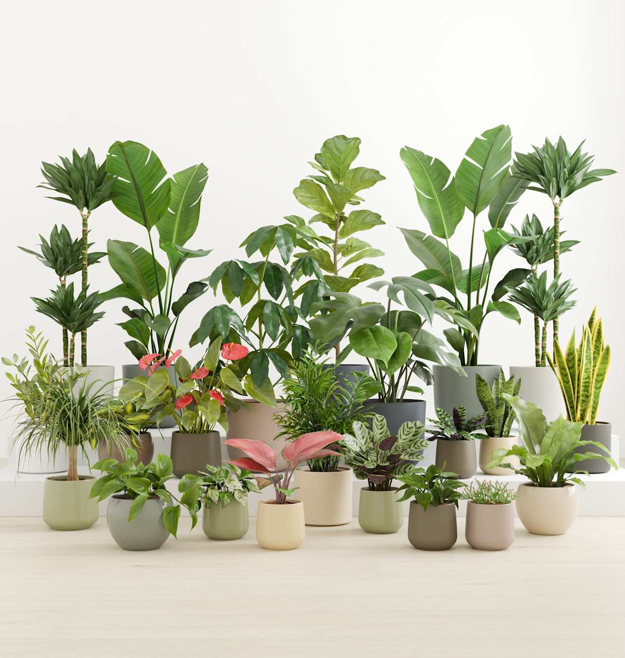 The Natural Sanctuary Collection | easyplant