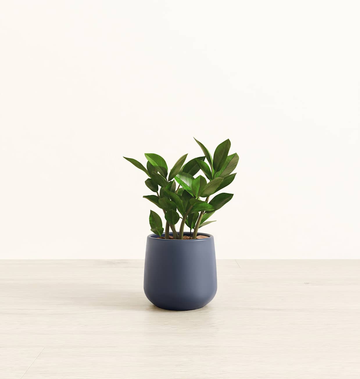 8 in pots for plants Mayne Valencia 8-Inch Self-Watering Wall Mount Planter (3-Pack) Mayne Inc