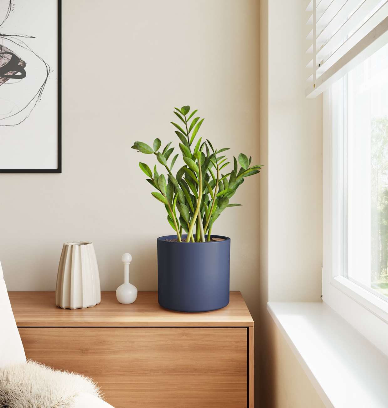 Medium ZZ Plant | Buy 10-18 Inch Indoor Plants | easyplant