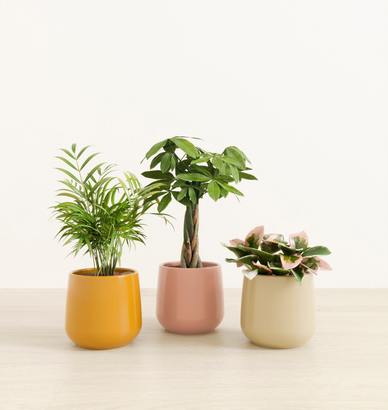 Quieres comprar plantas colgantes artificiales? Elegantes y rápidas -  Easyplants