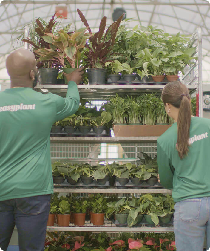 5 Fulfilment Centers
Nationwide