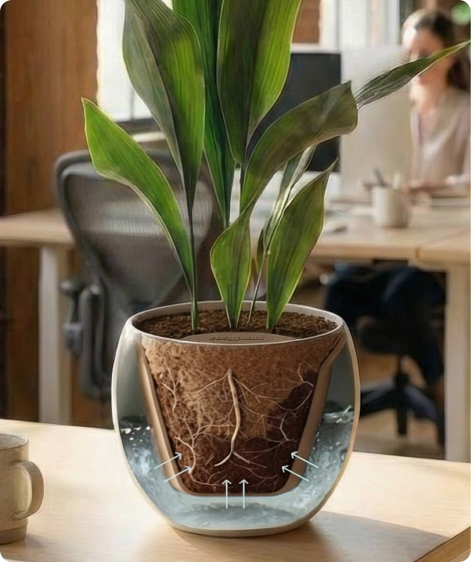 Self-Watering System