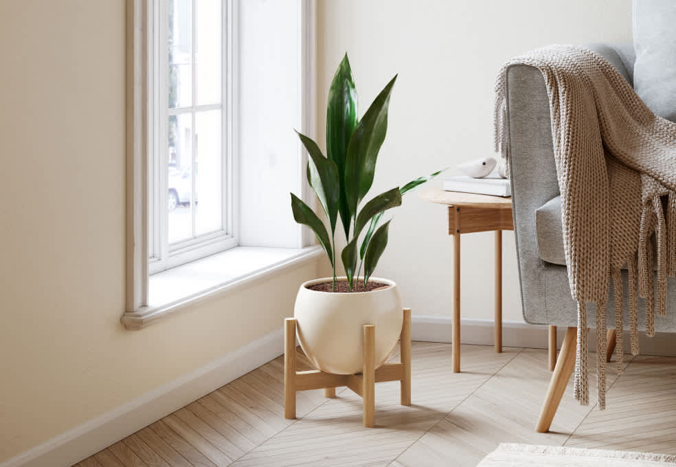 Light Wood Plant Stand