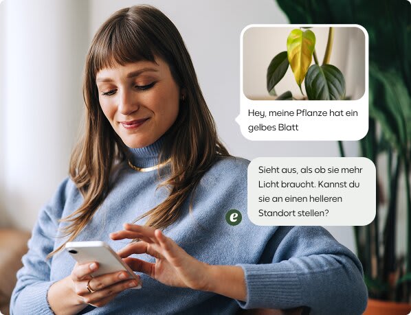 marketing image 1