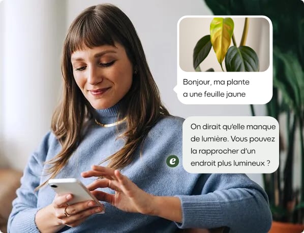 image marketing 1