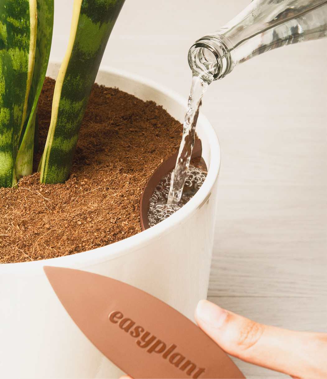 self watering