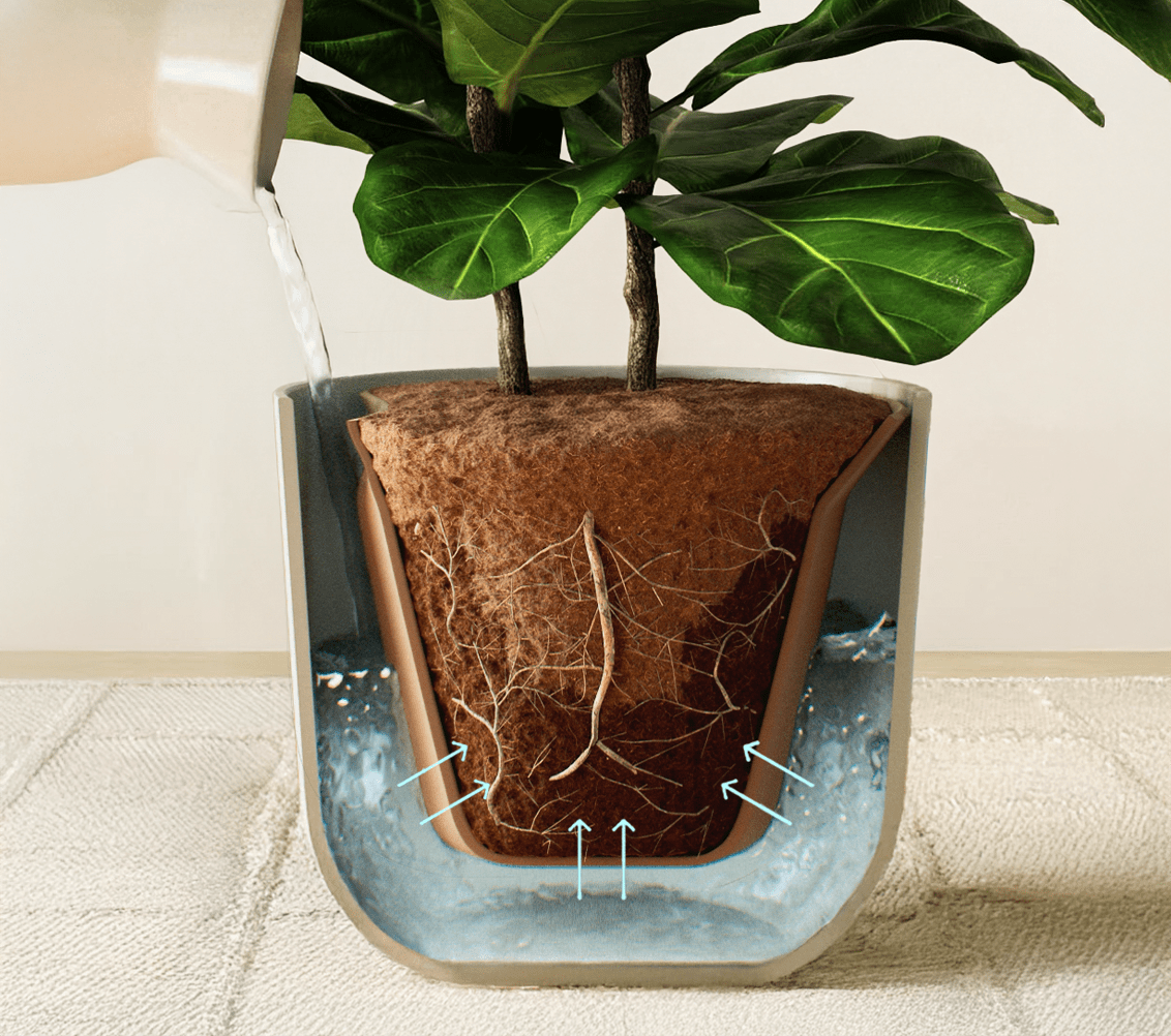 easyplant: Easy-Care Self-Watering Plants