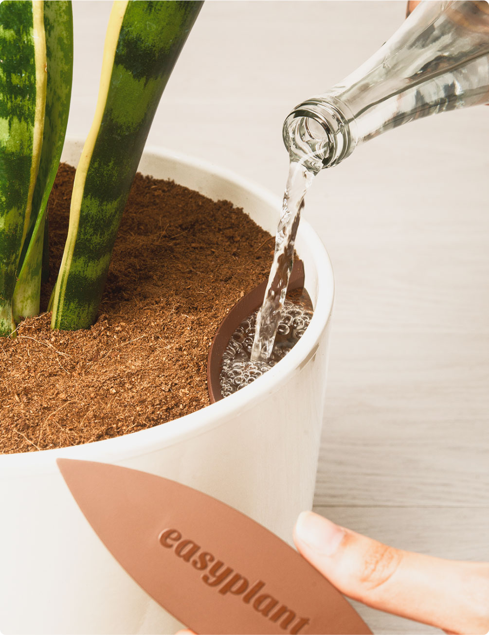 self watering
