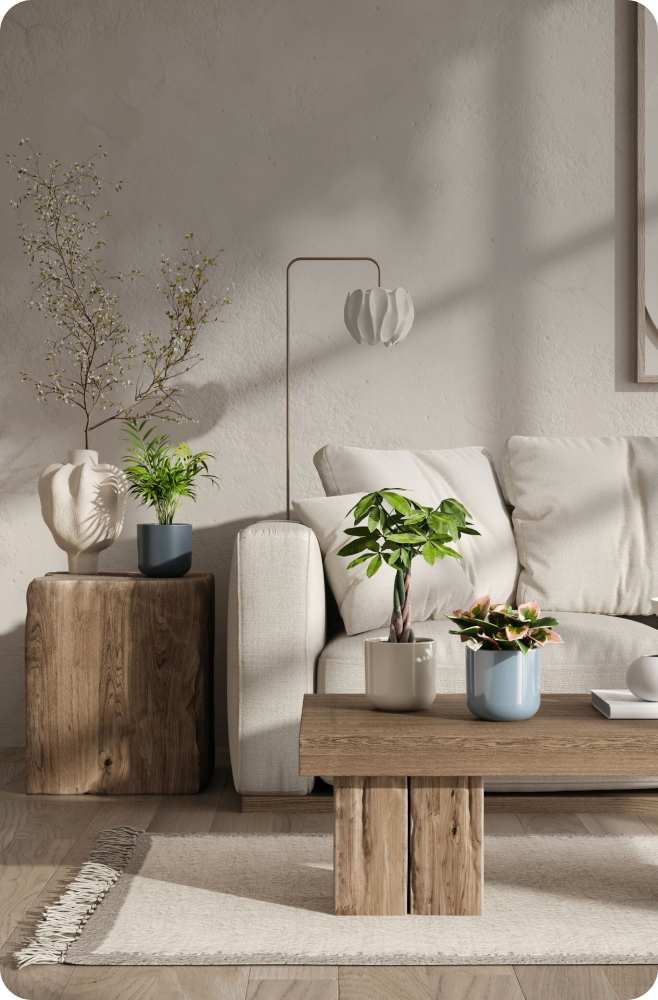 image asset
