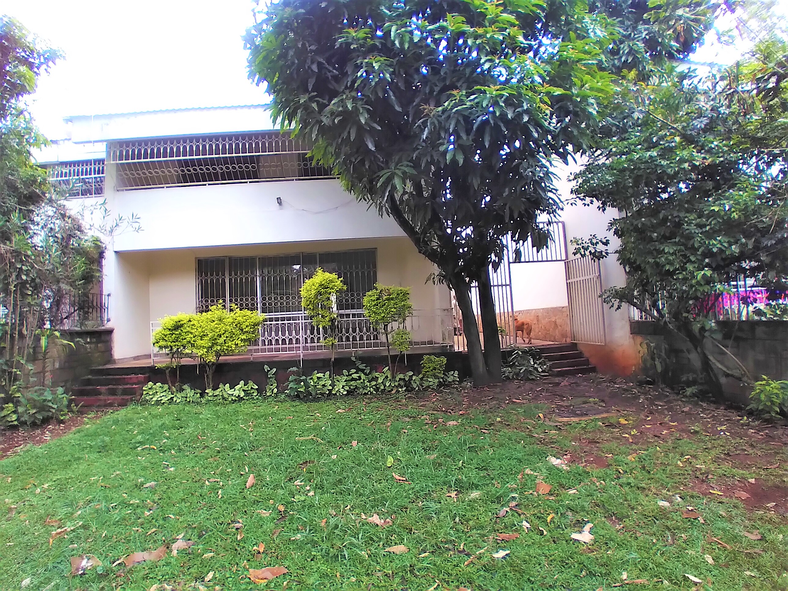 4 Bedroom plus Dsq Townhouse in Peponi Gardens