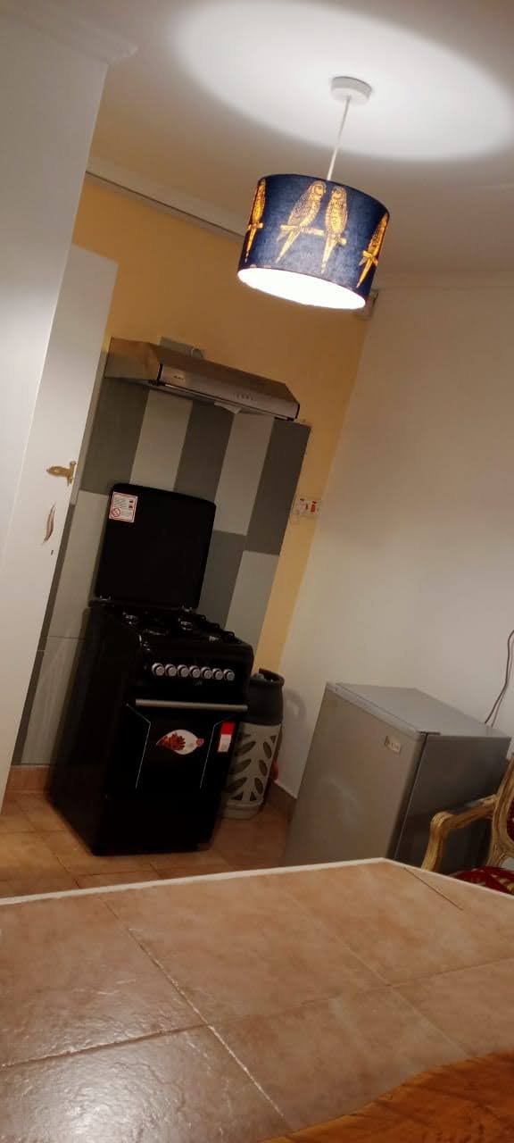 Furnished and serviced Studio Apartment in Spring Valley