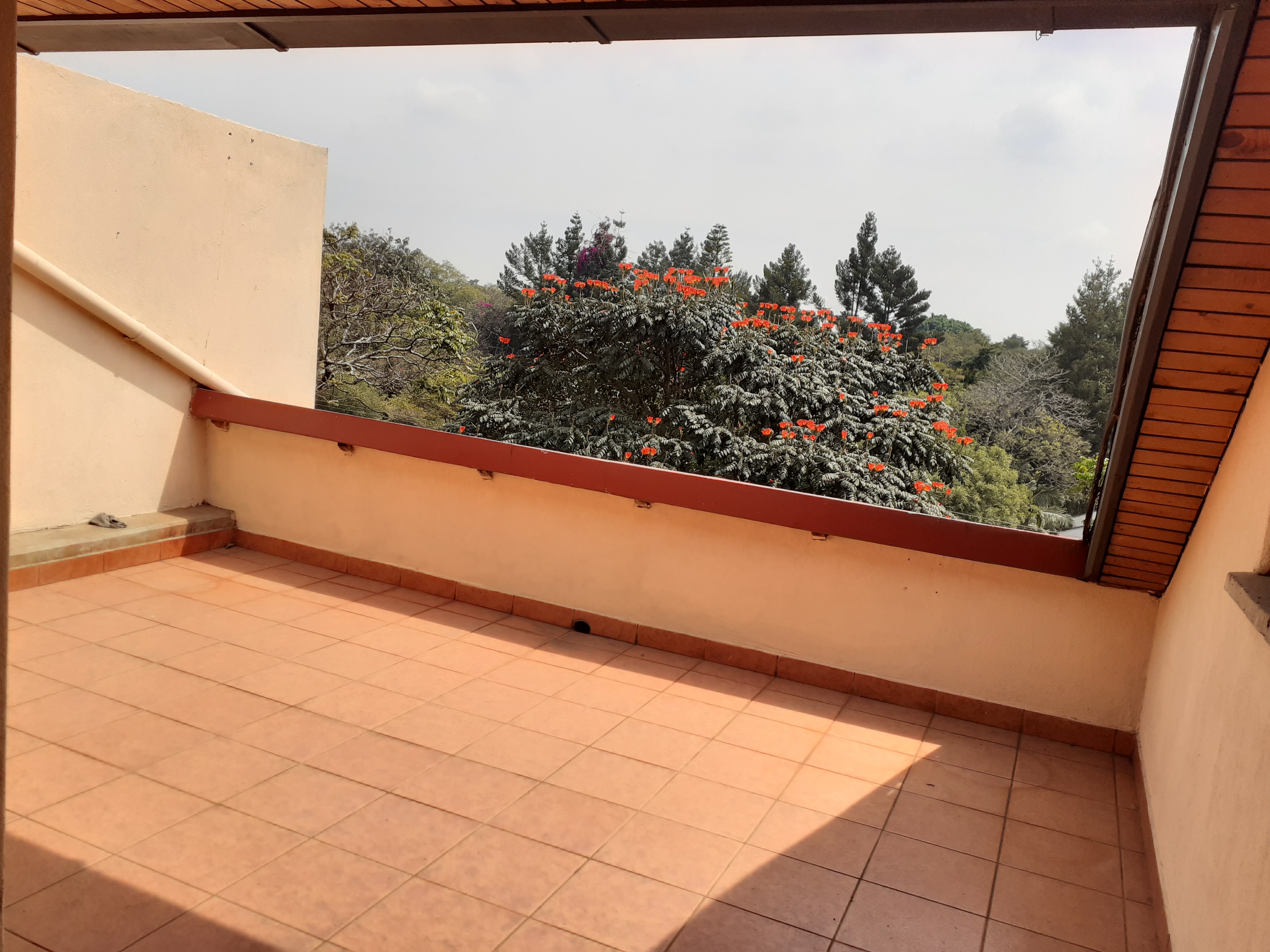 4 bedroom plus DSQ DUPLEX penthouse in Lavington