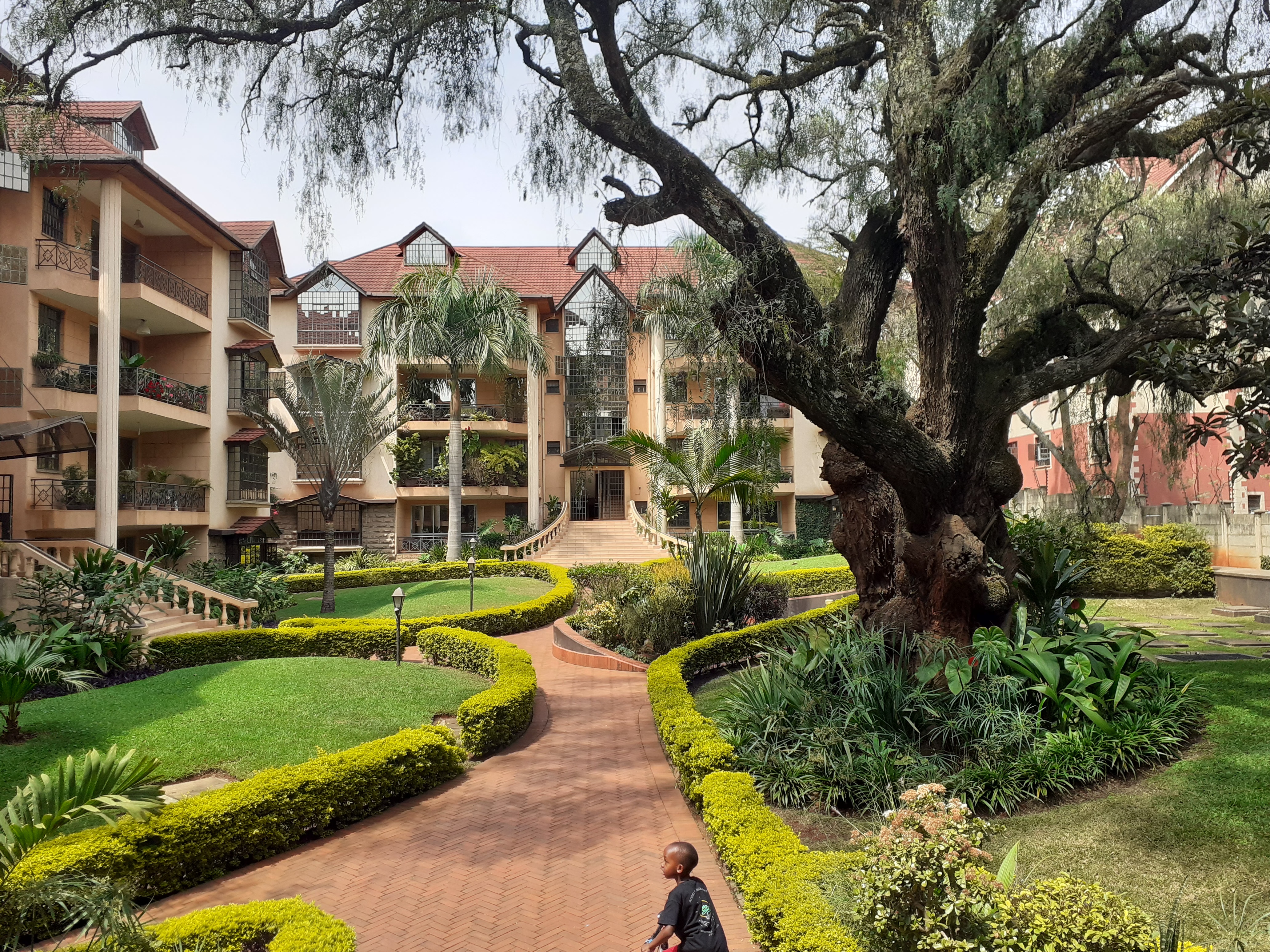 4 bedroom plus DSQ DUPLEX penthouse in Lavington