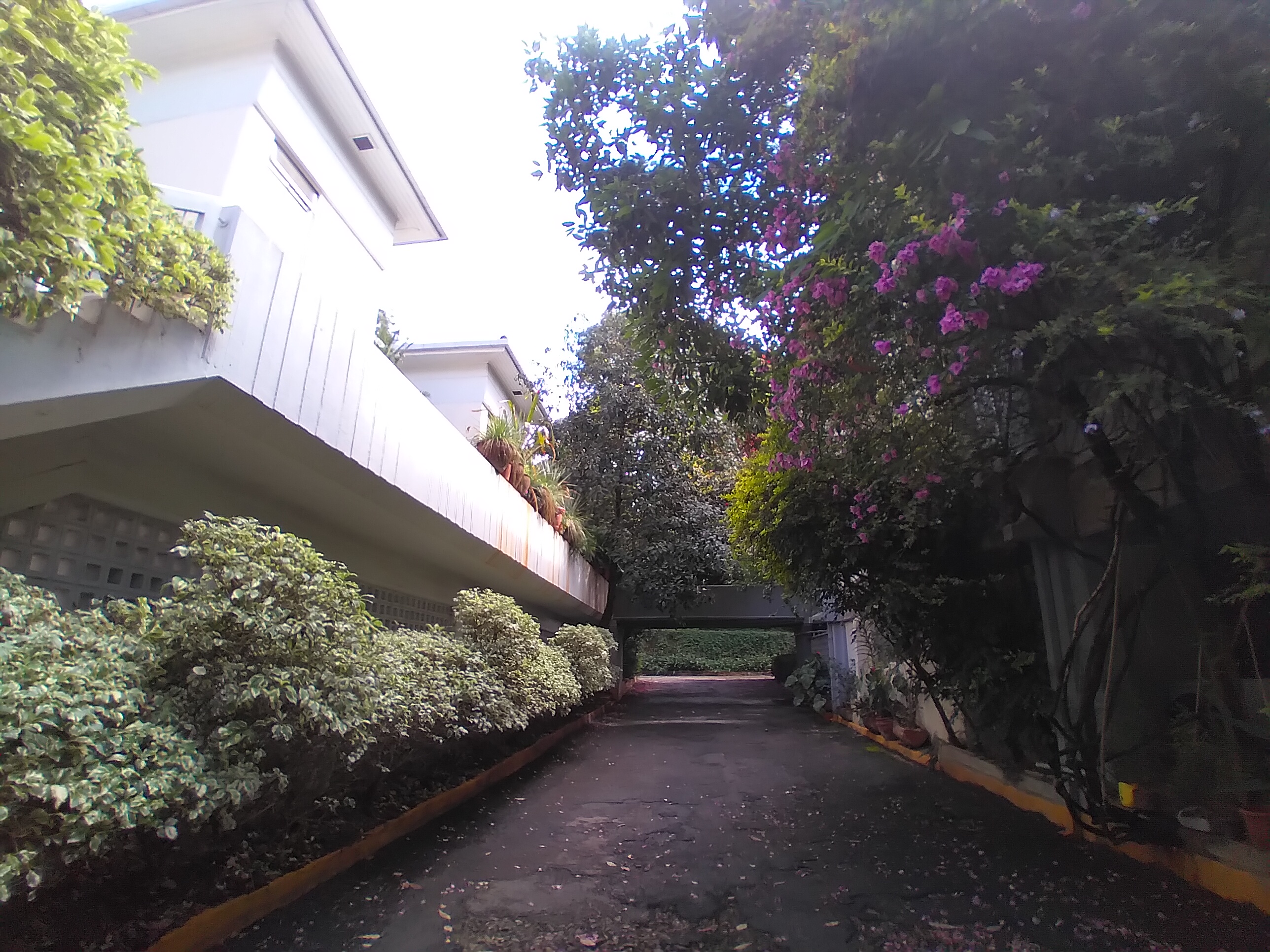 Unfurnished 3 Bedroom Townhouse in Lavington