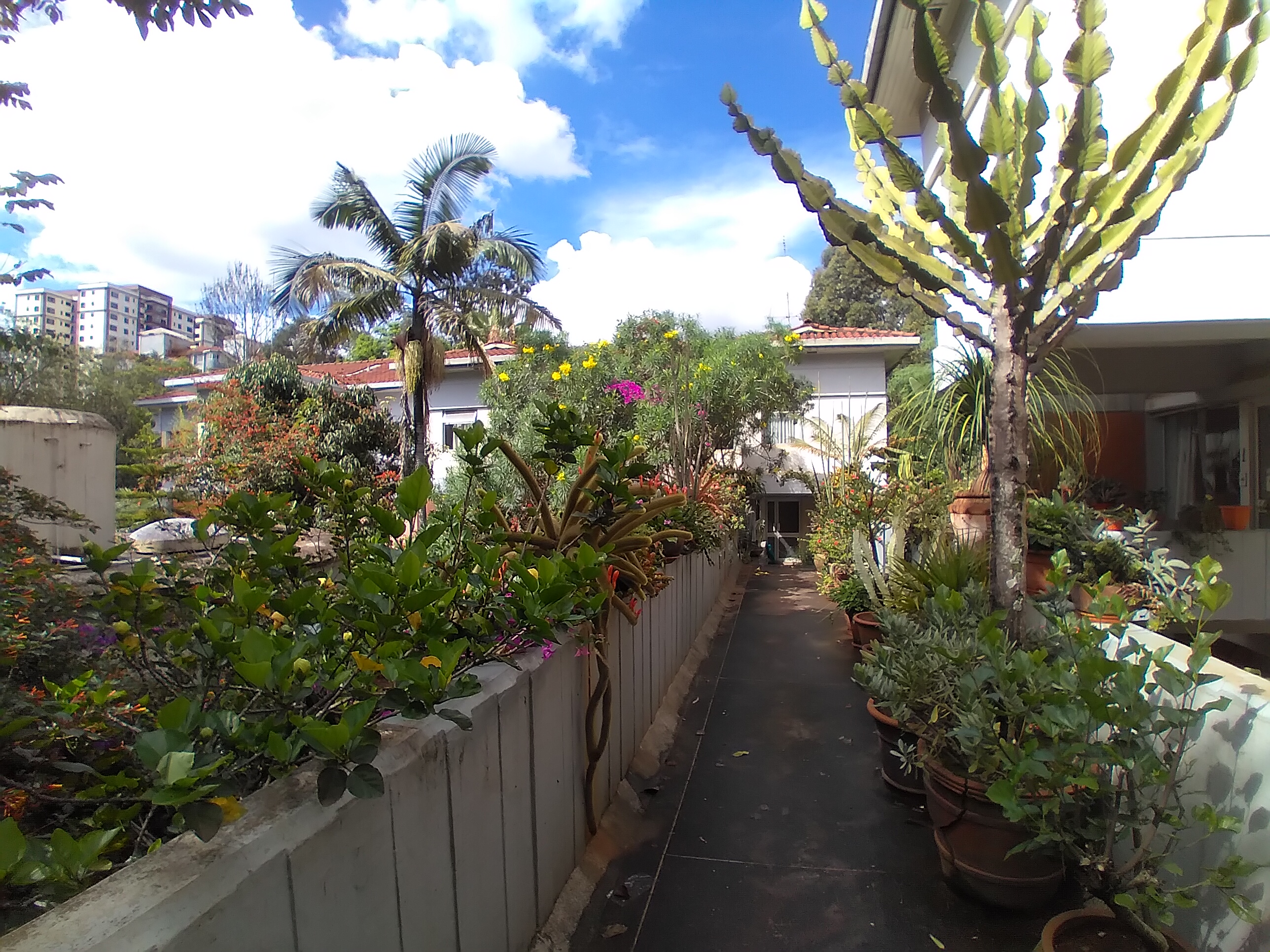 Unfurnished 3 Bedroom Townhouse in Lavington