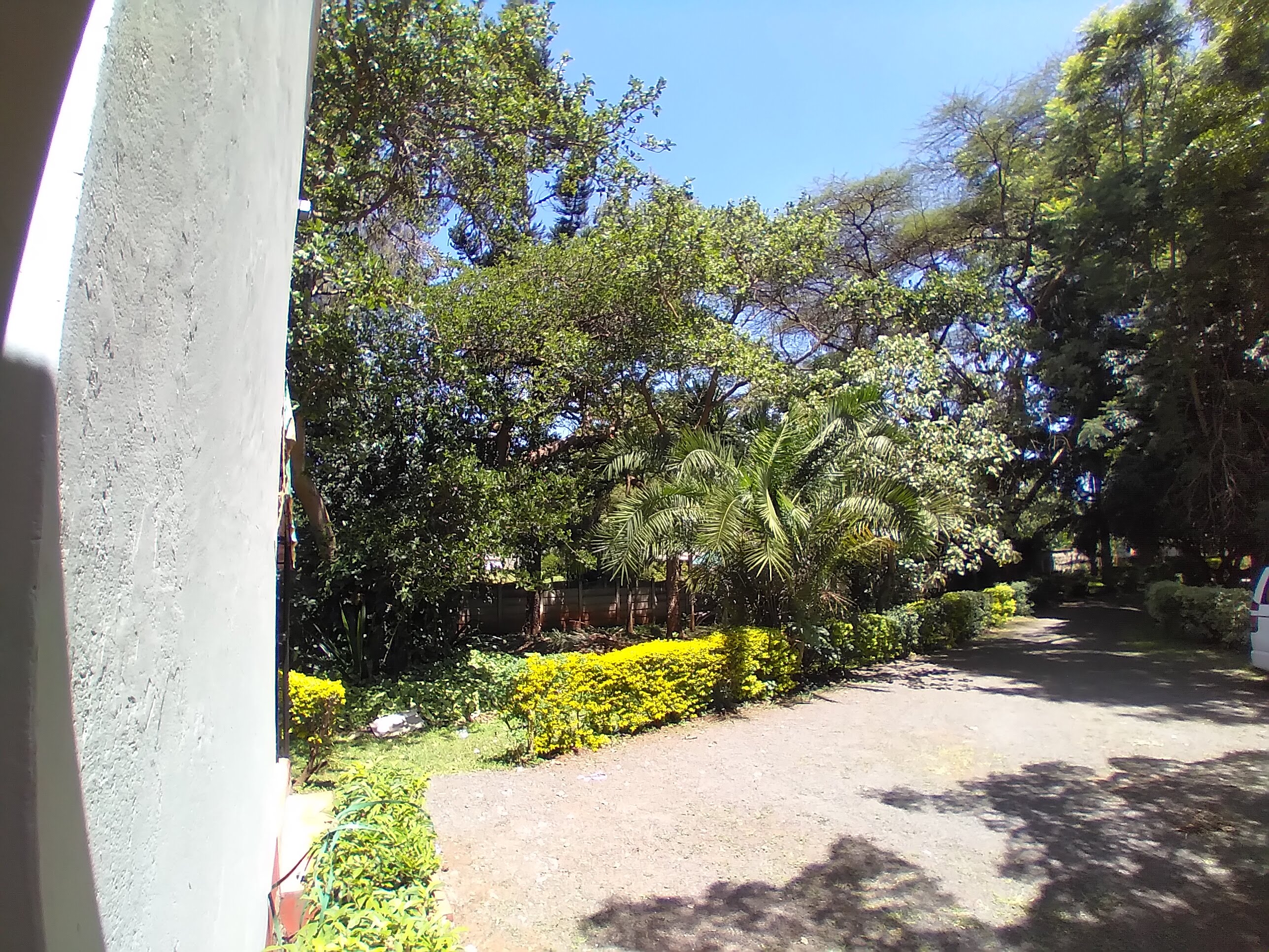 Unfurnished 3 Bedroom plus Dsq Cottage in Lavington area.
