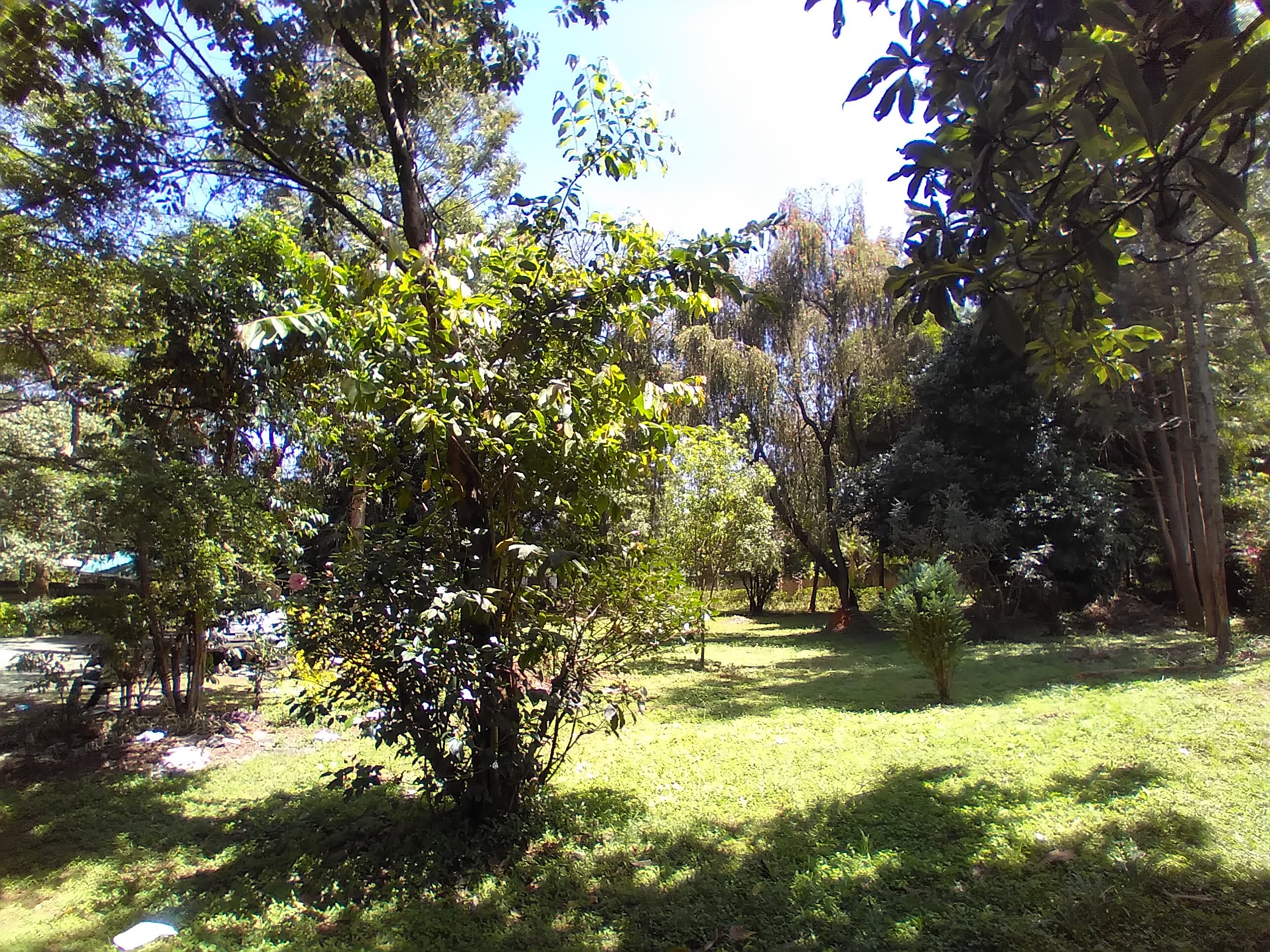 Unfurnished 3 Bedroom plus Dsq Cottage in Lavington area.