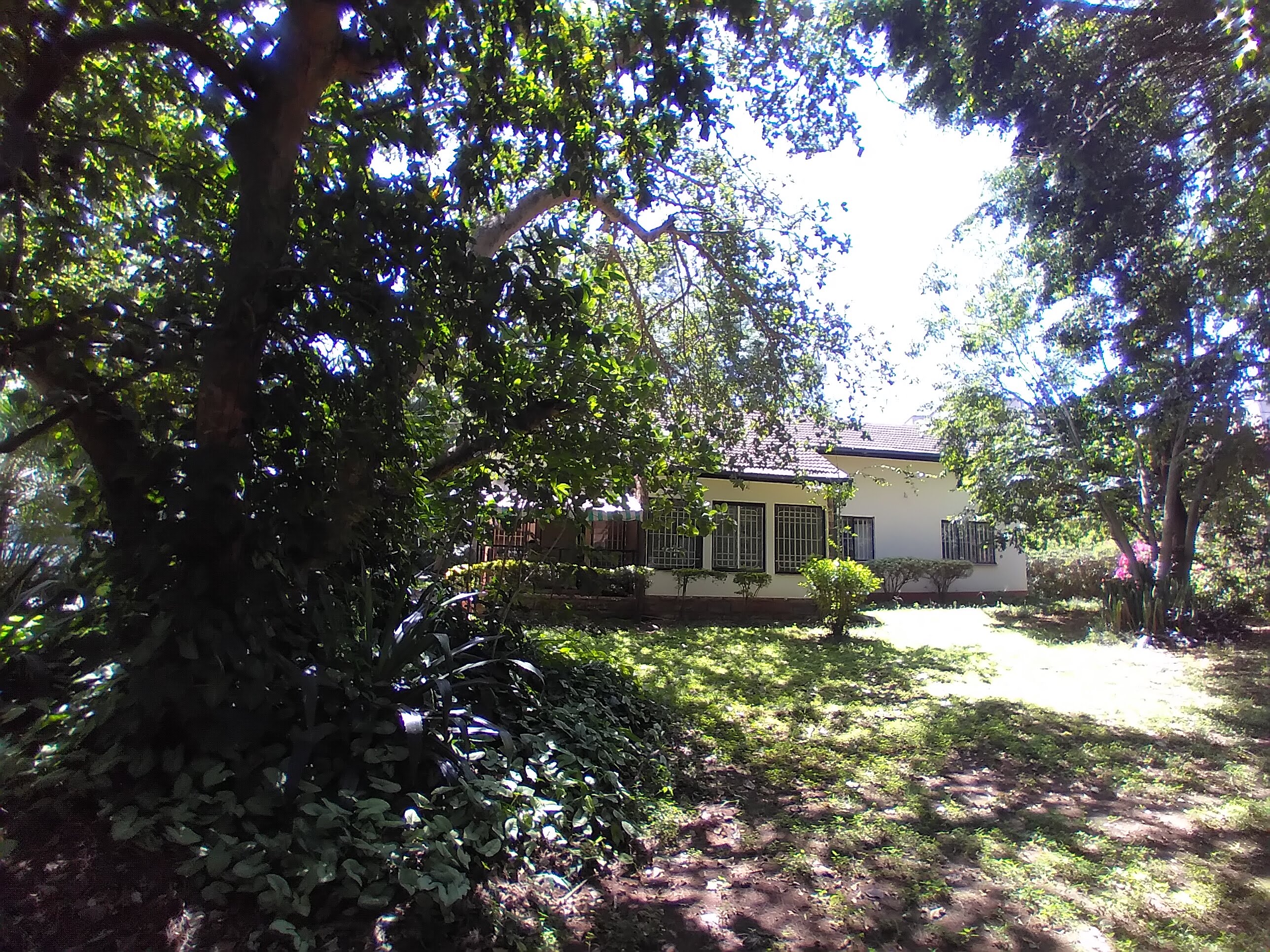 Unfurnished 3 Bedroom plus Dsq Cottage in Lavington area.