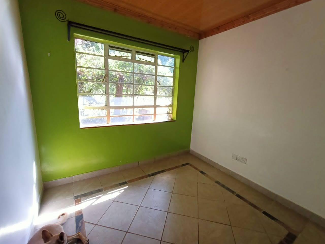 2 Bedroom plus Dsq Cottage in Lavington area