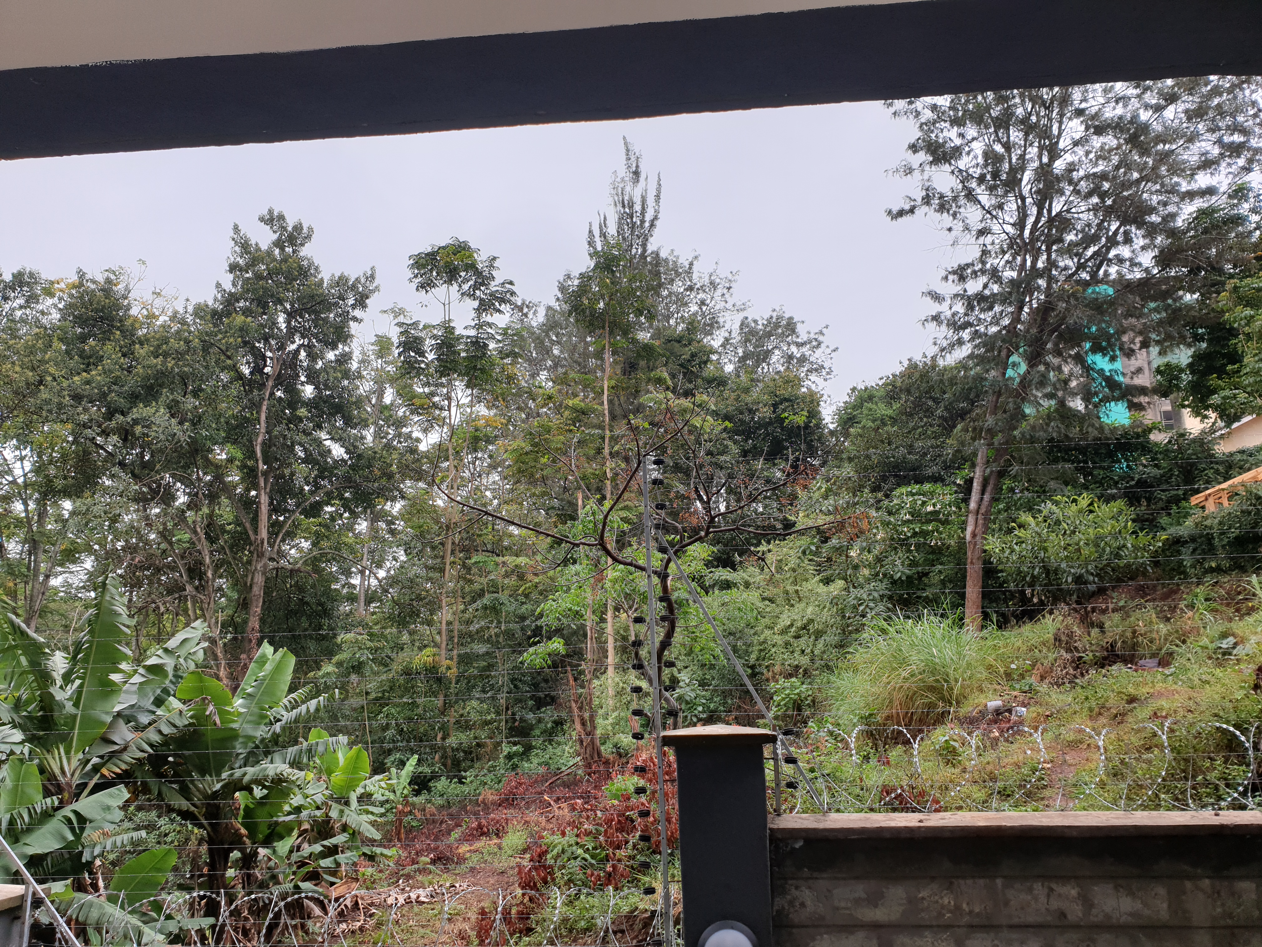 1 Bedroom Apartment in Westlands
