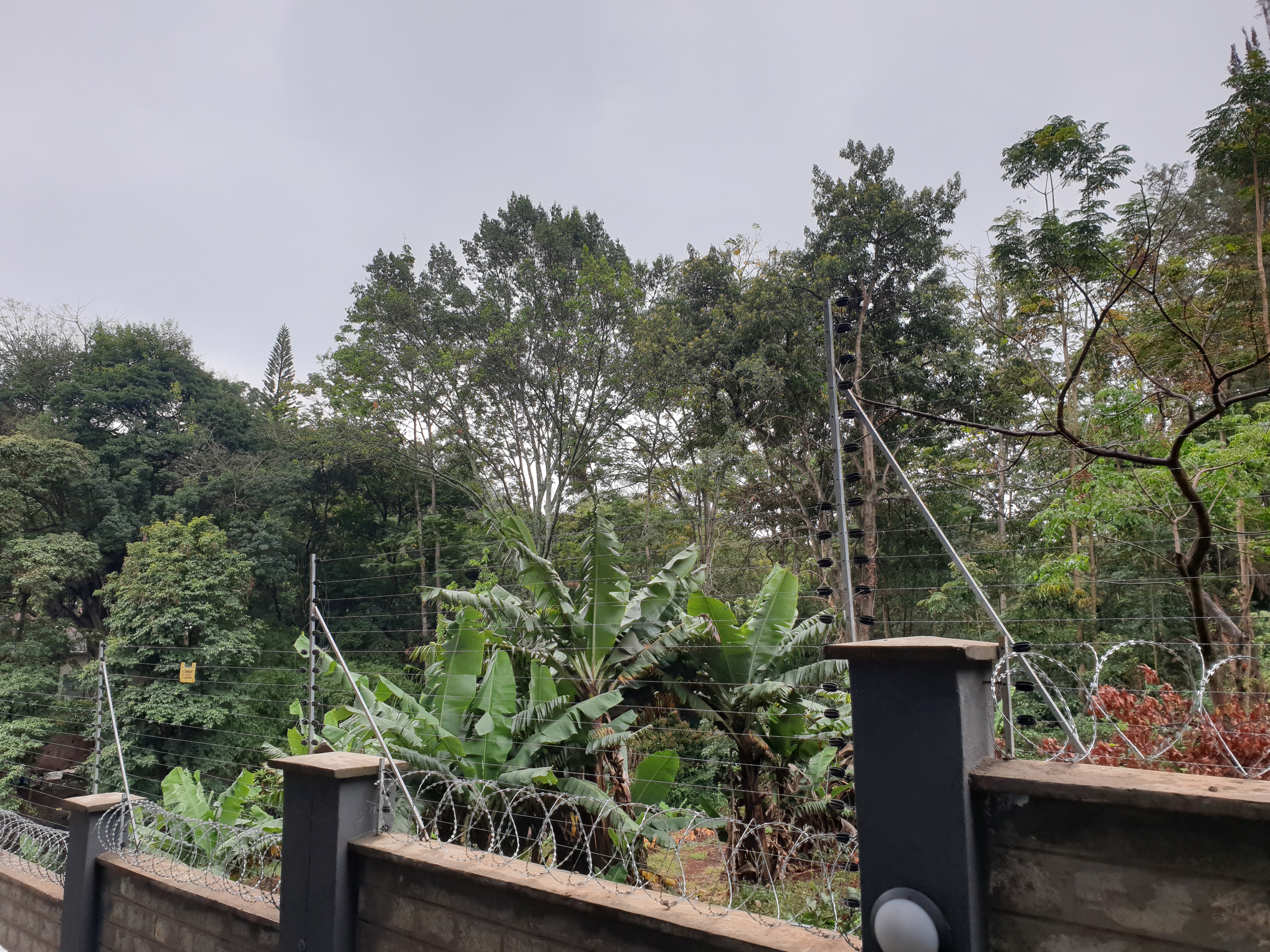 1 Bedroom Apartment in Westlands