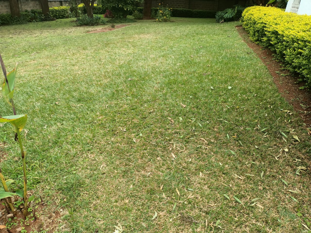 4 Bedroom House in Nyari