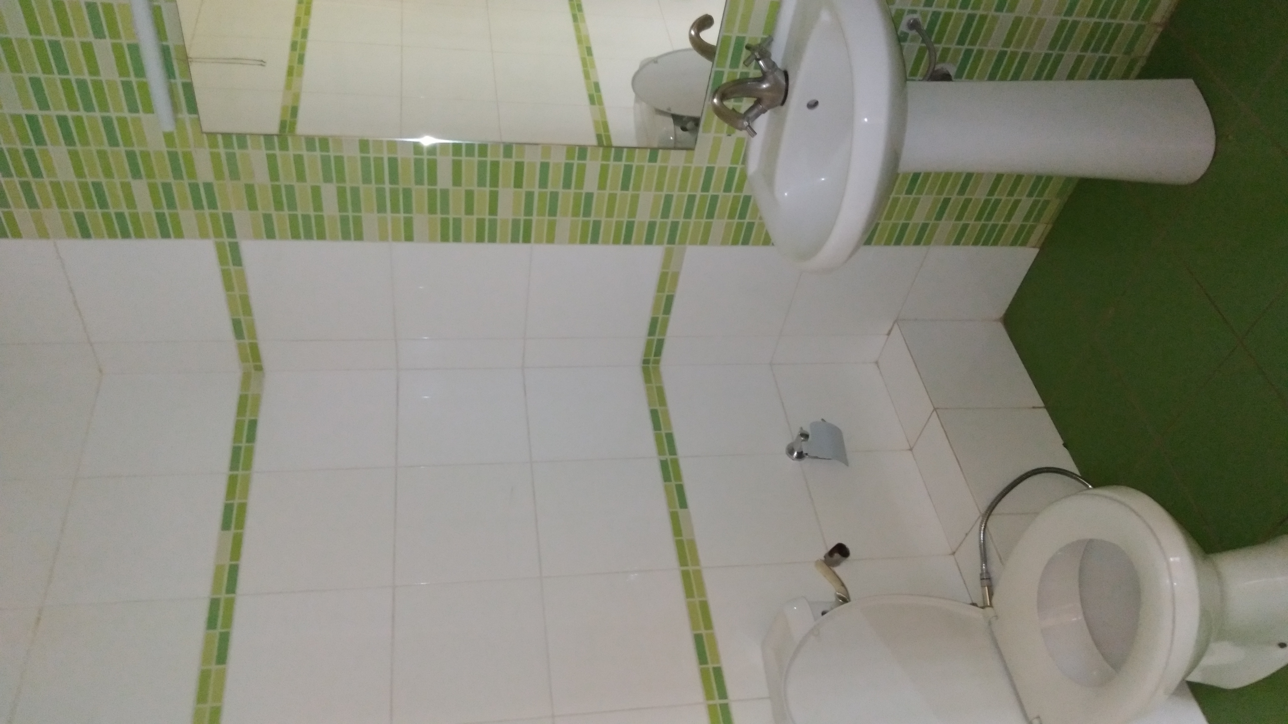 Unfurnished 3 Bedroom plus Dsq Apartment in Lavington