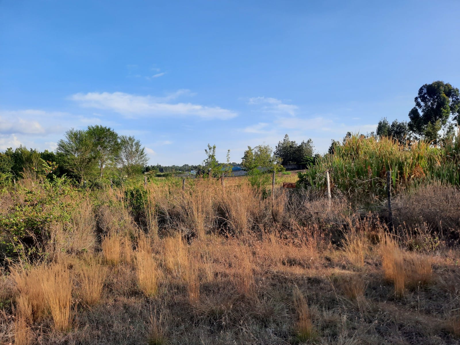 Land for sale in Laikipia Asking 