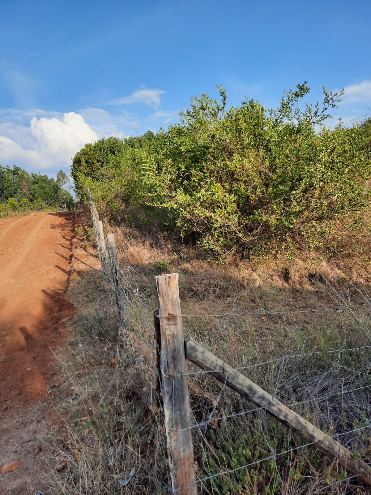 Land for sale in Laikipia Asking 
